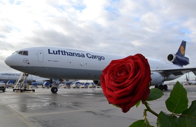 Lufthansa_Cargo_Rose_400
