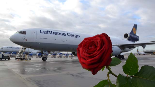 Rosen Lufthansa Cargo